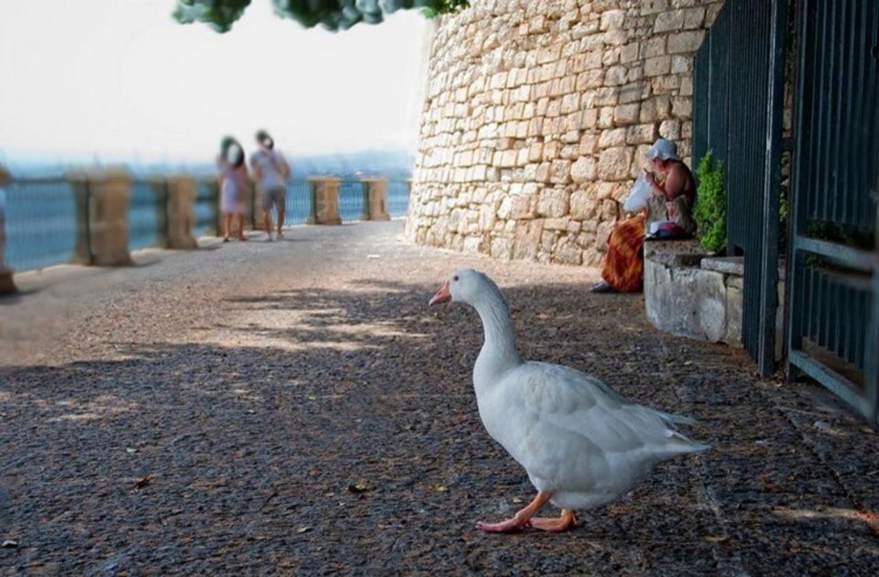 Rudy Arenaile Bed & Breakfast Arenella  Bagian luar foto
